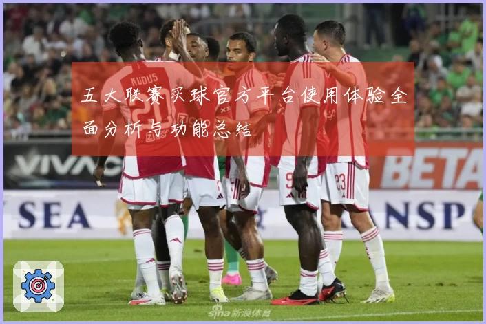 五大联赛买球官方平台使用体验全面分析与功能总结