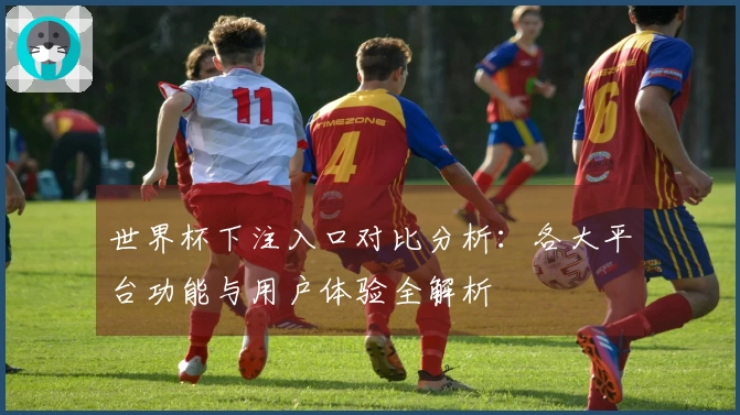 世界杯下注入口对比分析：各大平台功能与用户体验全解析