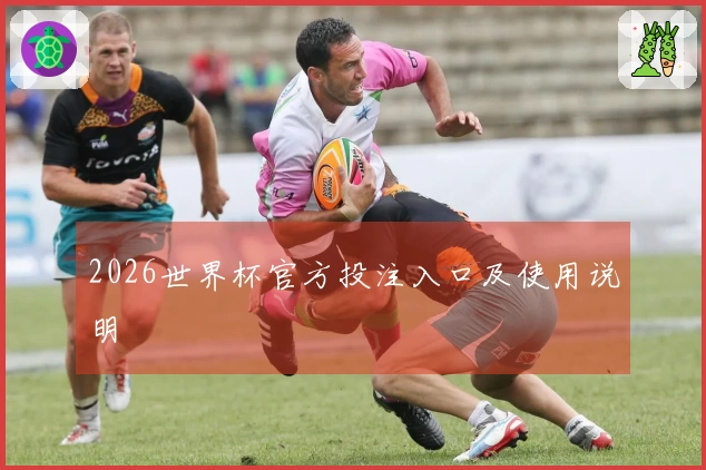 2026世界杯官方投注入口及使用说明