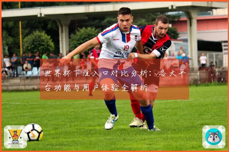 世界杯下注入口对比分析：各大平台功能与用户体验全解析